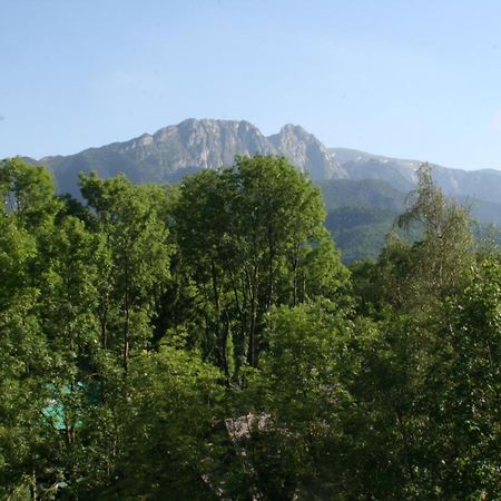 Apartament Top Zakopane Eksteriør billede